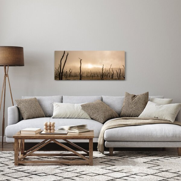 Obraz - Holé stromy (120x50 cm)
