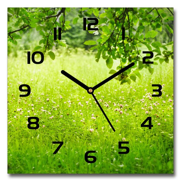 Sklenené nástenné hodiny štvorec Zelená lúka