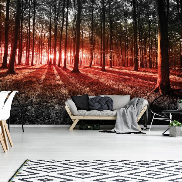 Fototapeta - Les (152,5x104 cm)