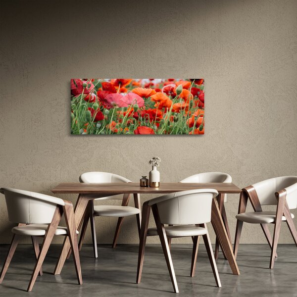Obraz z poľa vlčích makov (120x50 cm)