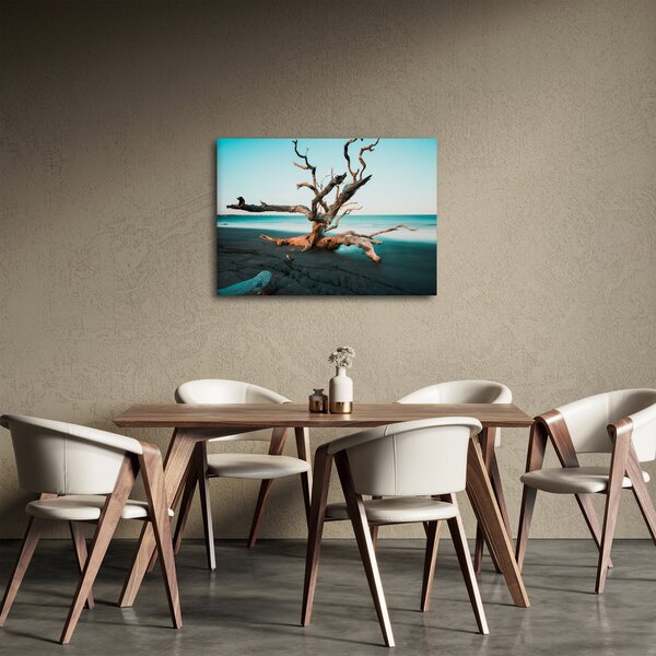 Obraz - Vyplavenie na pláži (70x50 cm)