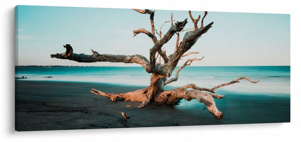 Obraz - Vyplavenie na pláži (120x50 cm)