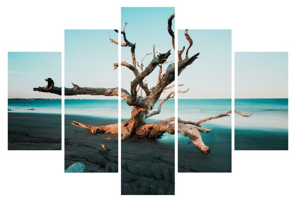 Obraz - Vyplavenie na pláži (150x105 cm)
