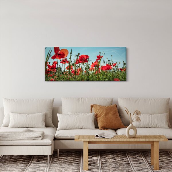 Obraz - Na poli vlčích makov (120x50 cm)