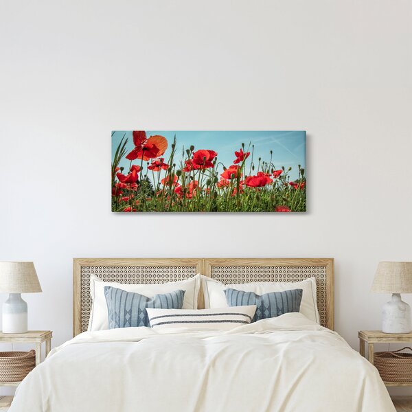 Obraz - Na poli vlčích makov (120x50 cm)