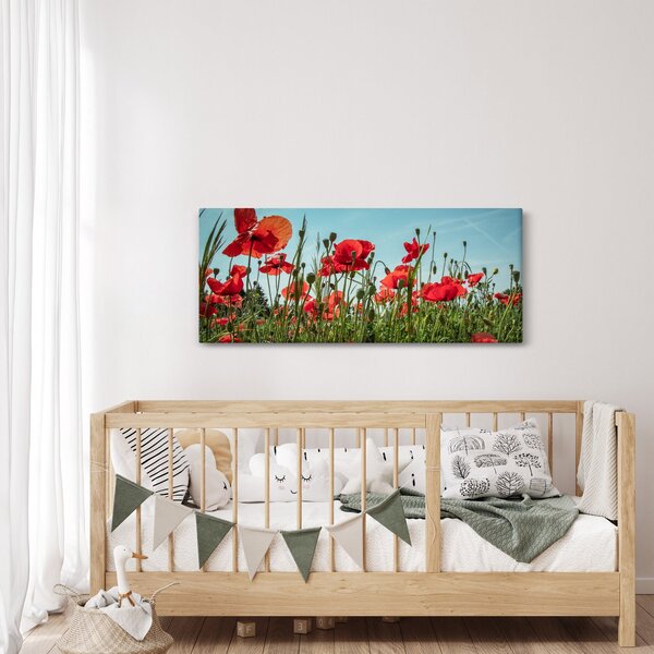 Obraz - Na poli vlčích makov (120x50 cm)