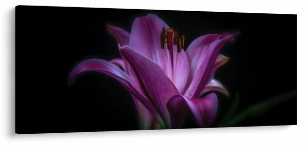 Obraz ľalia (120x50 cm)