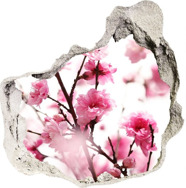 Fototapeta diera na stenu Slivkový kvet nd-p-39695917