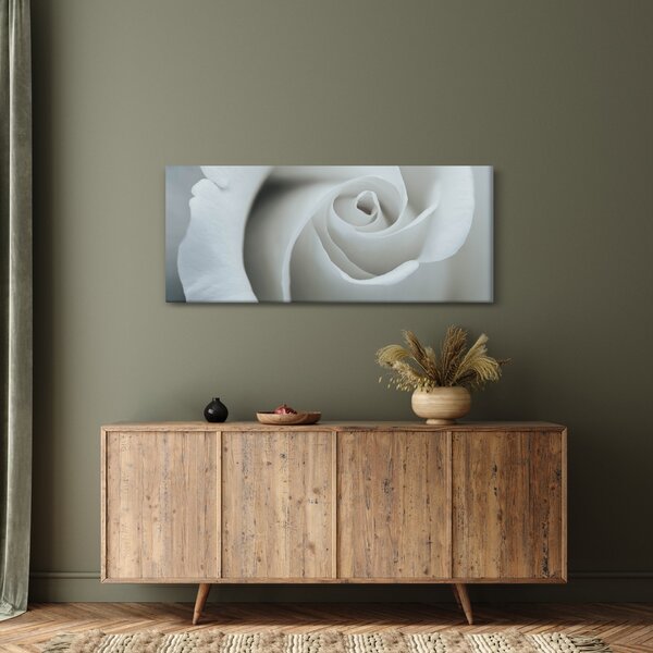 Obraz - Biela ruža (120x50 cm)