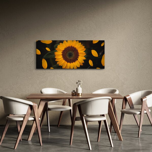 Obraz - Slnečnice a lístky kvetov (120x50 cm)