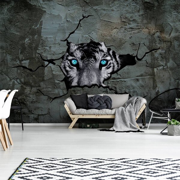 Fototapeta - Tiger s modrými očami (152,5x104 cm)