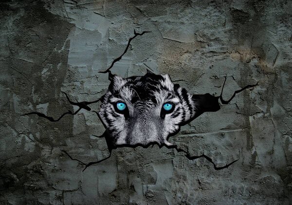 Fototapeta - Tiger s modrými očami (152,5x104 cm)