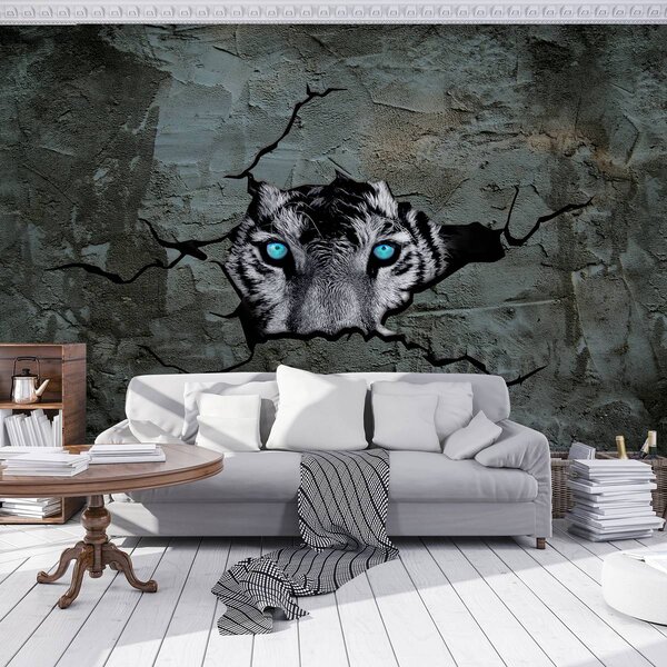 Fototapeta - Tiger s modrými očami (152,5x104 cm)