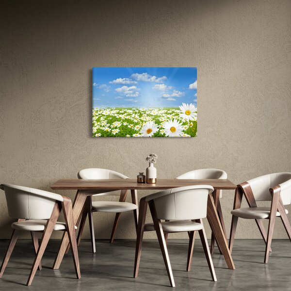 Obraz rozkvitnutej lúky s margarétkami (90x60 cm)