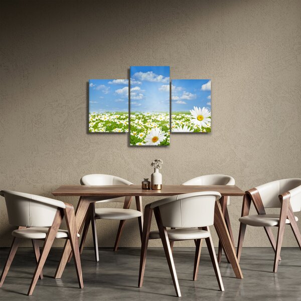 Obraz rozkvitnutej lúky s margarétkami (90x60 cm)