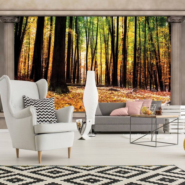 Fototapeta - Jesenný les (152,5x104 cm)