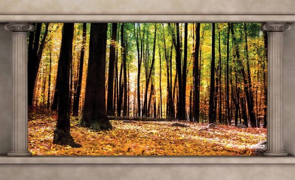 Fototapeta - Jesenný les (152,5x104 cm)