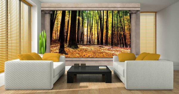 Fototapeta - Jesenný les (152,5x104 cm)