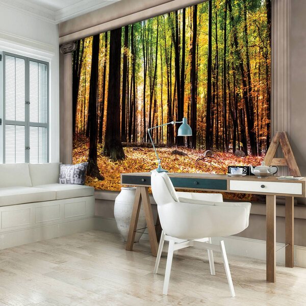 Fototapeta - Jesenný les (152,5x104 cm)