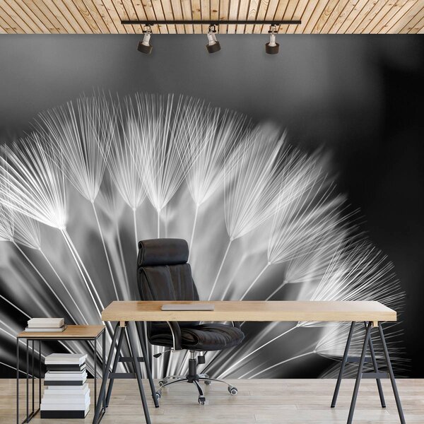 Fototapeta - Púpava (152,5x104 cm)