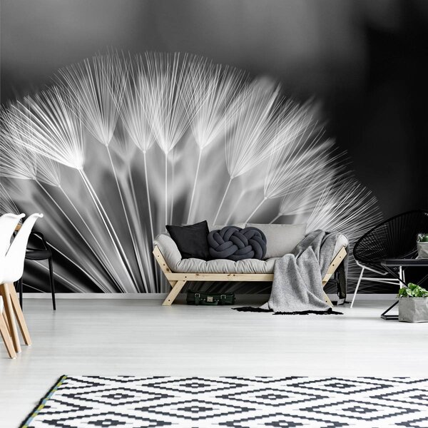 Fototapeta - Púpava (152,5x104 cm)