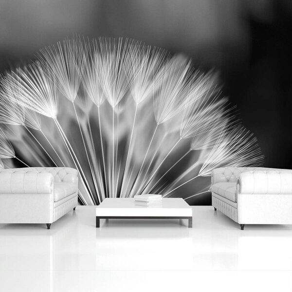 Fototapeta - Púpava (152,5x104 cm)