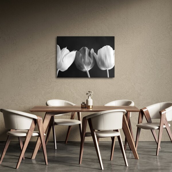 Obraz - Čiernobiele kvety tulipánov (70x50 cm)
