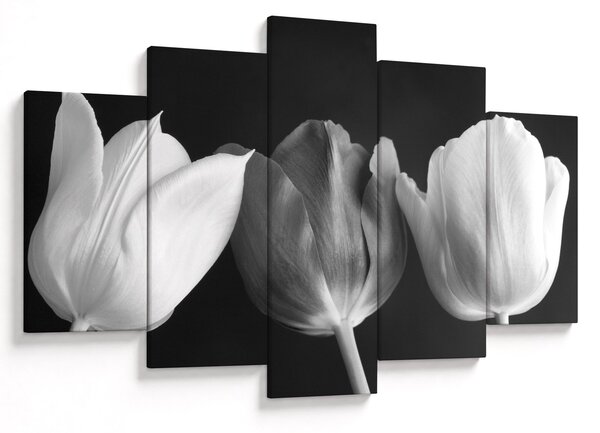 Obraz - Čiernobiele kvety tulipánov (150x105 cm)