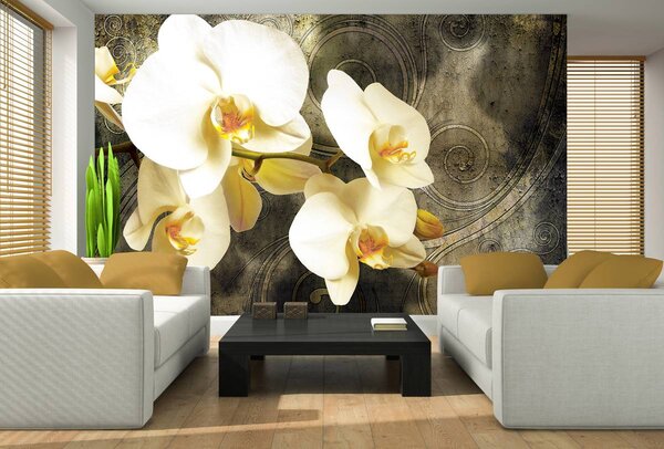 Fototapeta - Orchidea (152,5x104 cm)