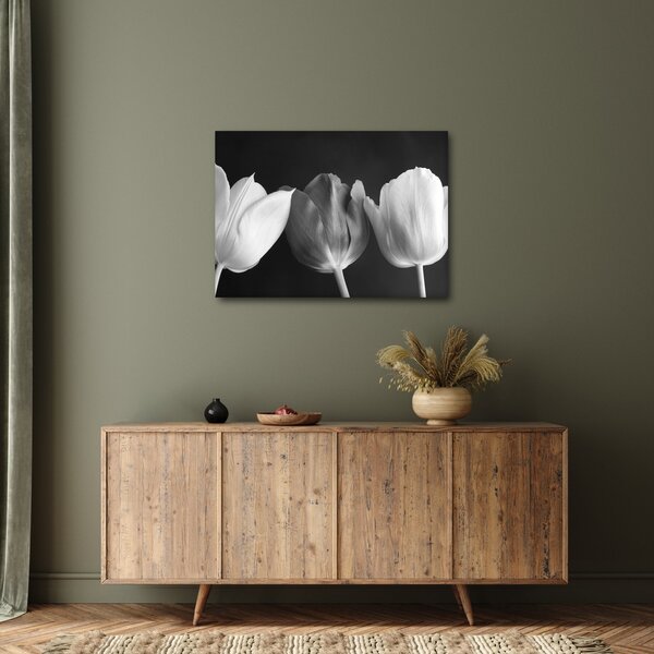 Obraz - Čiernobiele kvety tulipánov (70x50 cm)