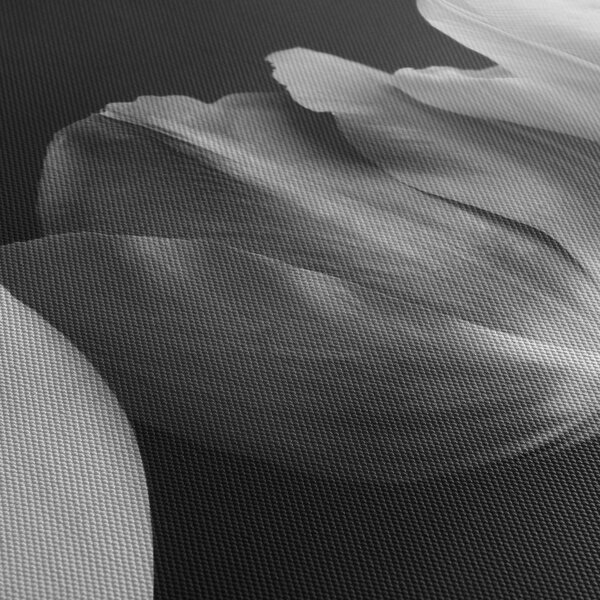 Obraz - Čiernobiele kvety tulipánov (s hodinami) (90x30 cm)