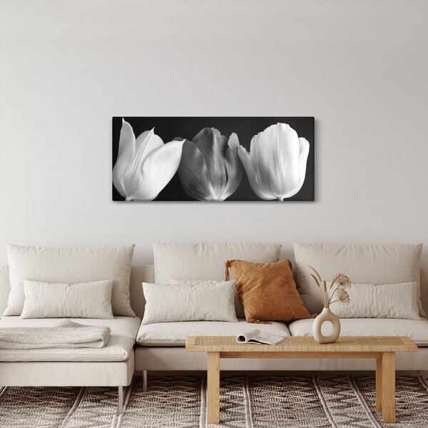 Obraz - Čiernobiele kvety tulipánov (120x50 cm)