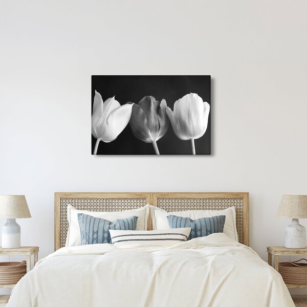 Obraz - Čiernobiele kvety tulipánov (90x60 cm)