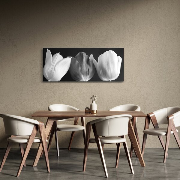 Obraz - Čiernobiele kvety tulipánov (120x50 cm)