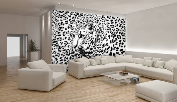 Fototapeta - Čiernobiela - gepard (152,5x104 cm)