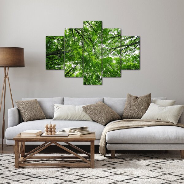 Obraz - Pohľad do korún stromov (150x105 cm)