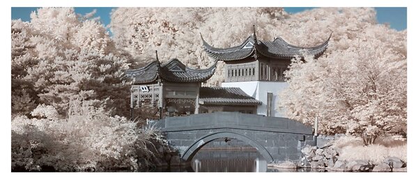 Obraz - Rozkvitnuté stromy v Ázii (120x50 cm)
