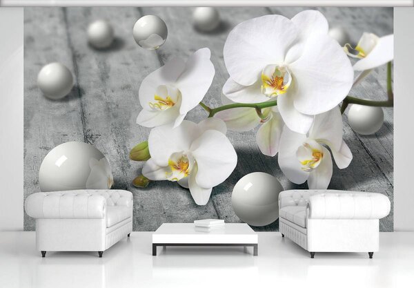 Fototapeta - Biela orchidea (152,5x104 cm)