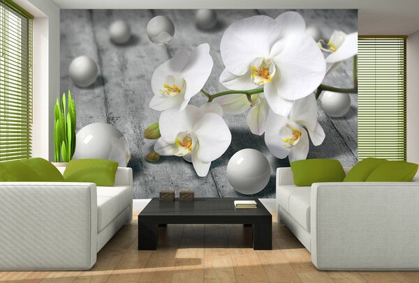 Fototapeta - Biela orchidea (152,5x104 cm)