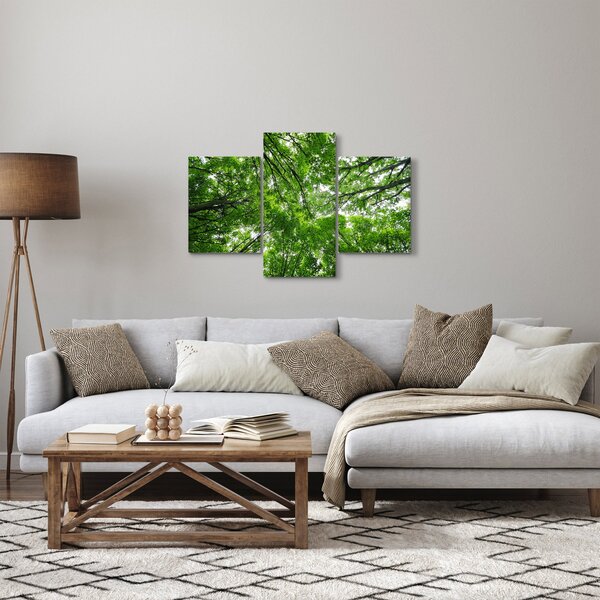 Obraz - Pohľad do korún stromov (90x60 cm)