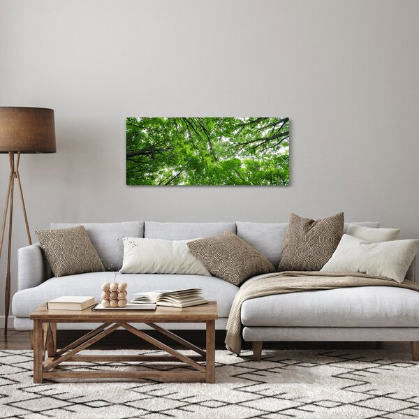 Obraz - Pohľad do korún stromov (120x50 cm)