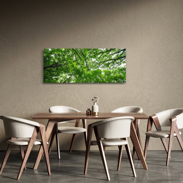 Obraz - Pohľad do korún stromov (120x50 cm)