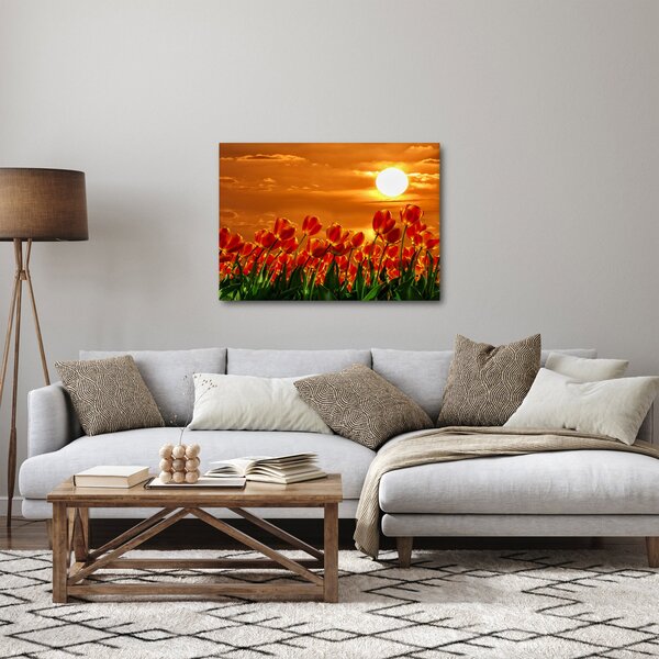 Obraz rozkvitnutého lánu s tulipánmi (70x50 cm)