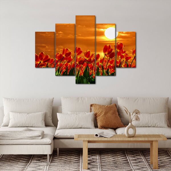Obraz rozkvitnutého lánu s tulipánmi (150x105 cm)