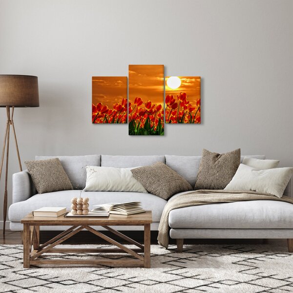 Obraz rozkvitnutého lánu s tulipánmi (90x60 cm)
