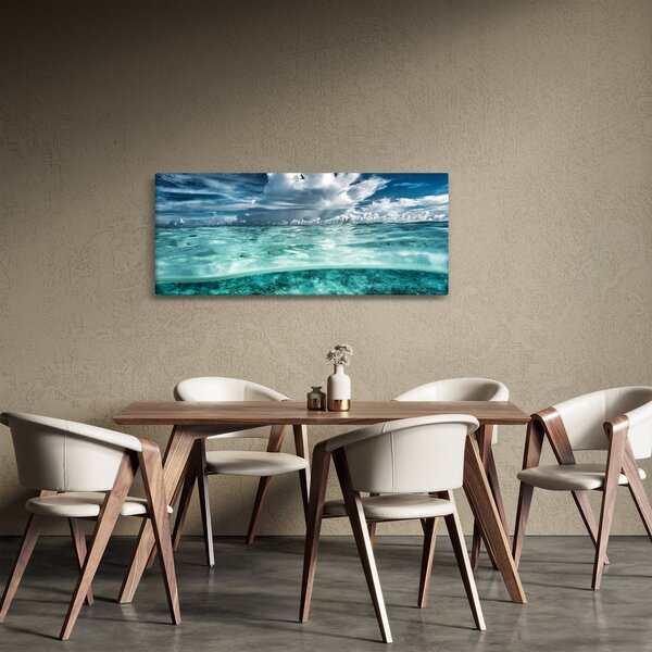 Obraz - Pohľad pod morskú hladinu (120x50 cm)
