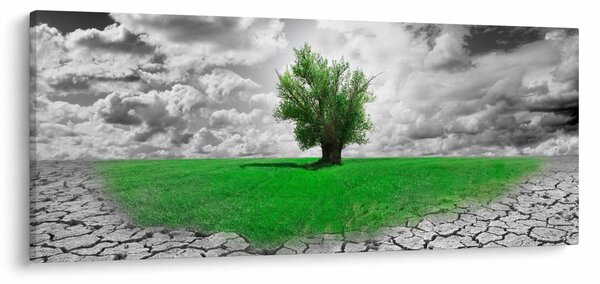 Obraz - Kus prírody v meste (120x50 cm)