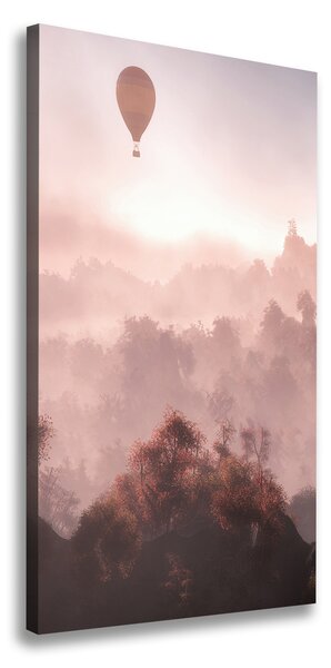 Foto obraz na plátne Lietajúci balón les