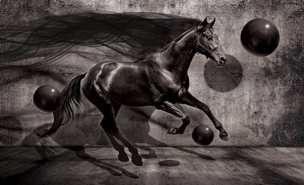 Fototapeta - Čierny kôň (152,5x104 cm)