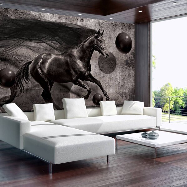 Fototapeta - Čierny kôň (152,5x104 cm)